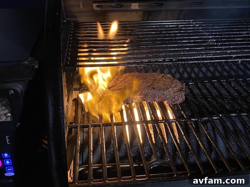Louisiana Grills Black Label Sear Zone Sear Plate Feature on Black Label 800