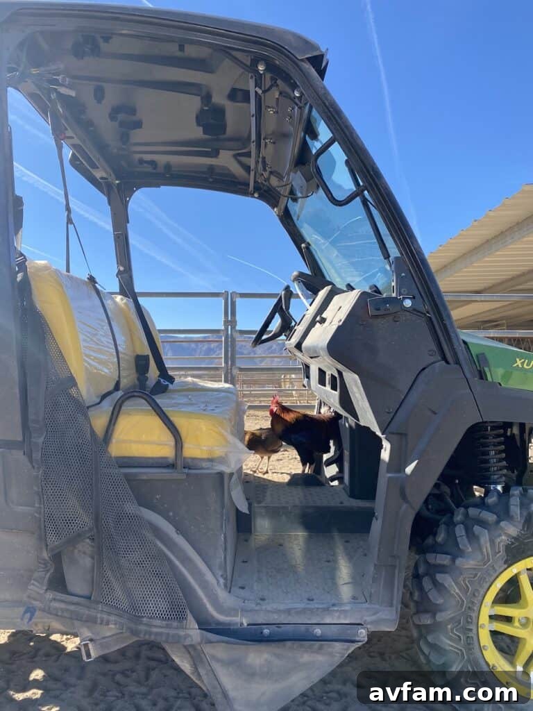 Interior cabin view of the John Deere Gator XUV865M, highlighting ergonomic seating