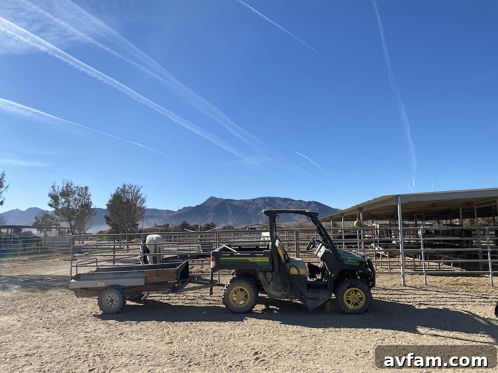 John Deere Gator XUV865M parked on a dirt road with mountains in the background