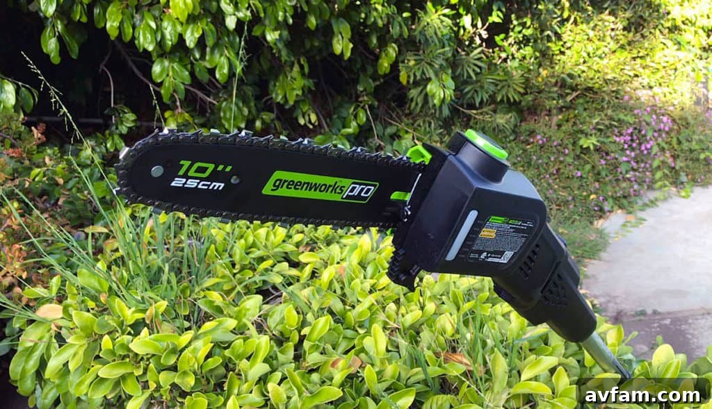 Efficient Cordless Tree Pruning Greenworks Cordless Pole Saw for High Branches