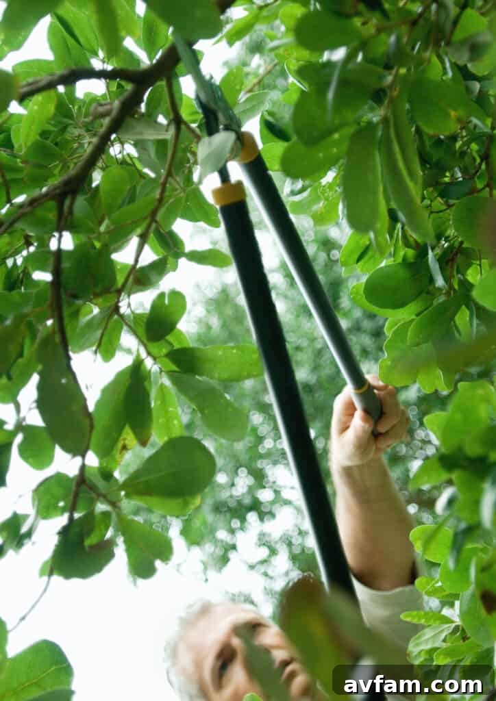 High-Powered Chainsaw for Tree Trimming Professional Arborist with Chainsaw