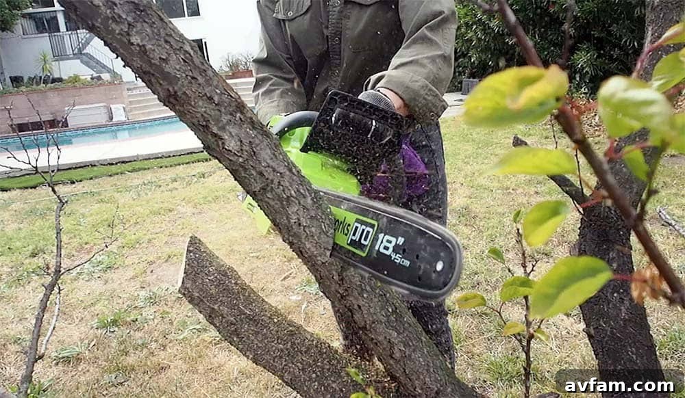 chainsaw-cutting