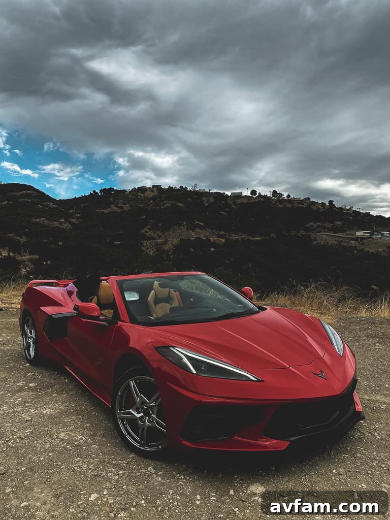 A close-up of the driver's side door panel and premium materials within the C8 Convertible's interior.