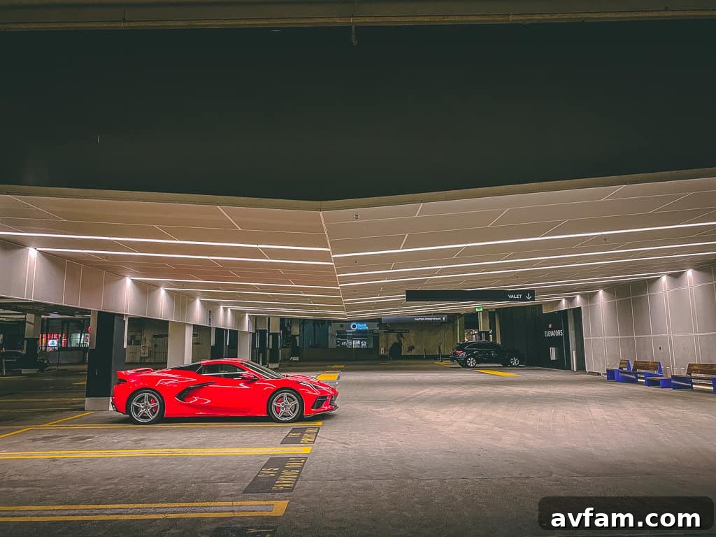 The C8 Convertible from a low angle, emphasizing its wide rear tires and aggressive posture on the road.