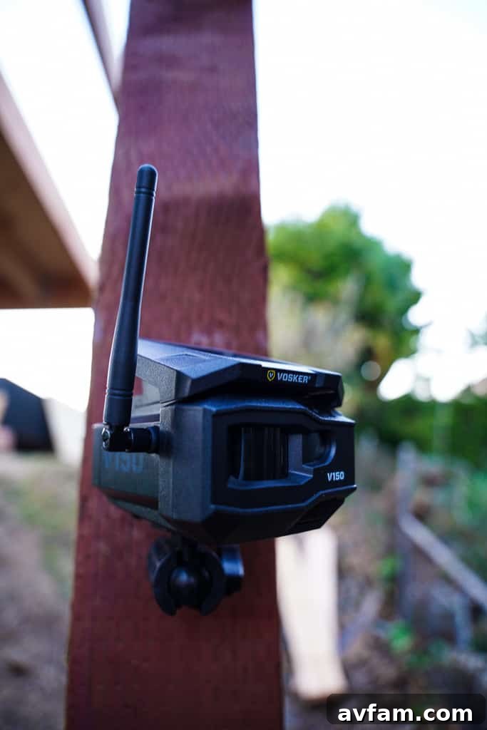 Vosker V150: Security Without Limits 2 img 26663 1