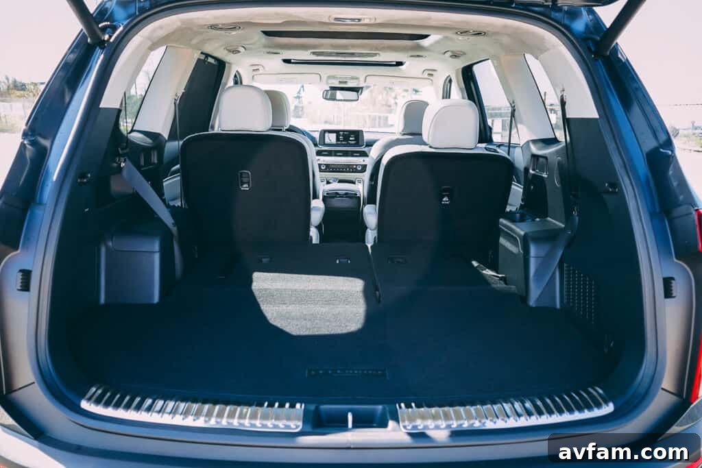 2021 Kia Telluride infotainment screen with navigation
