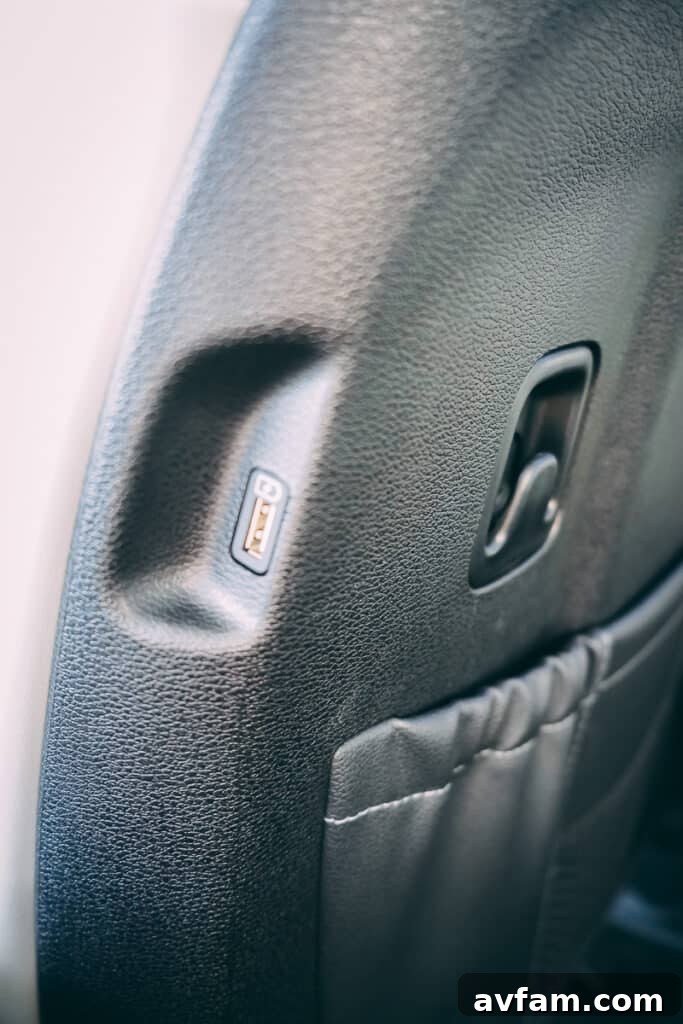 Kia Telluride interior trim accents