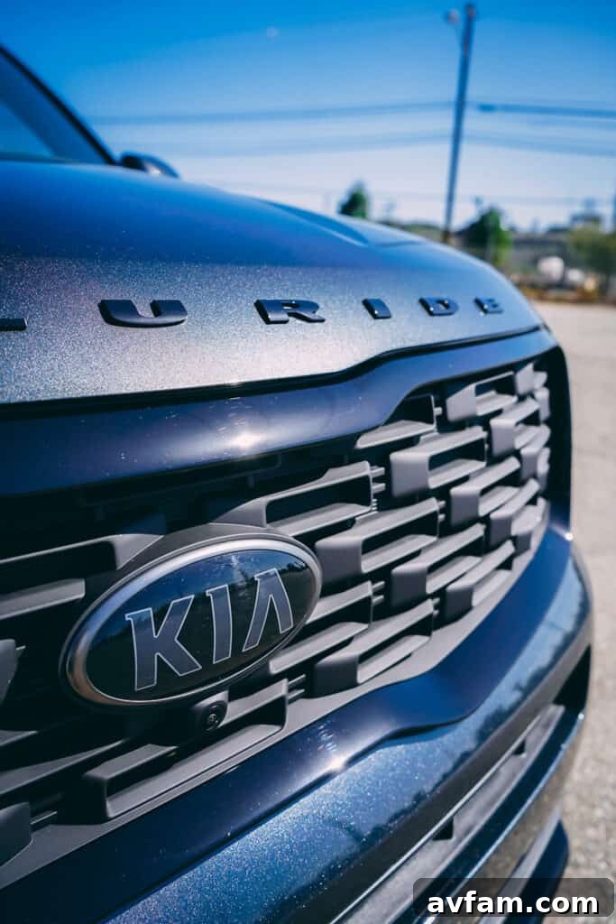 Kia Telluride emblem on wheel