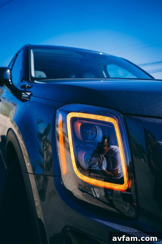 2021 Kia Telluride wheel arch and fender
