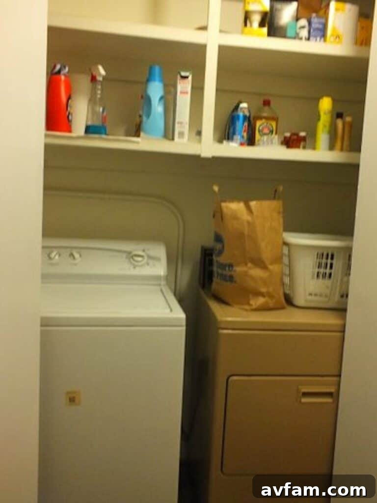 Richmond Restoration: A Historic House Reborn 11 Before renovation: Hallway laundry closet with one broken folding door in an old Richmond home