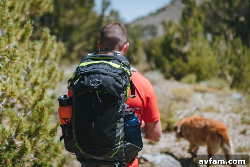 A full-body shot of a person confidently standing at a trailhead, ready for a hike, dressed in functional Jack Wolfskin clothing and carrying a backpack.