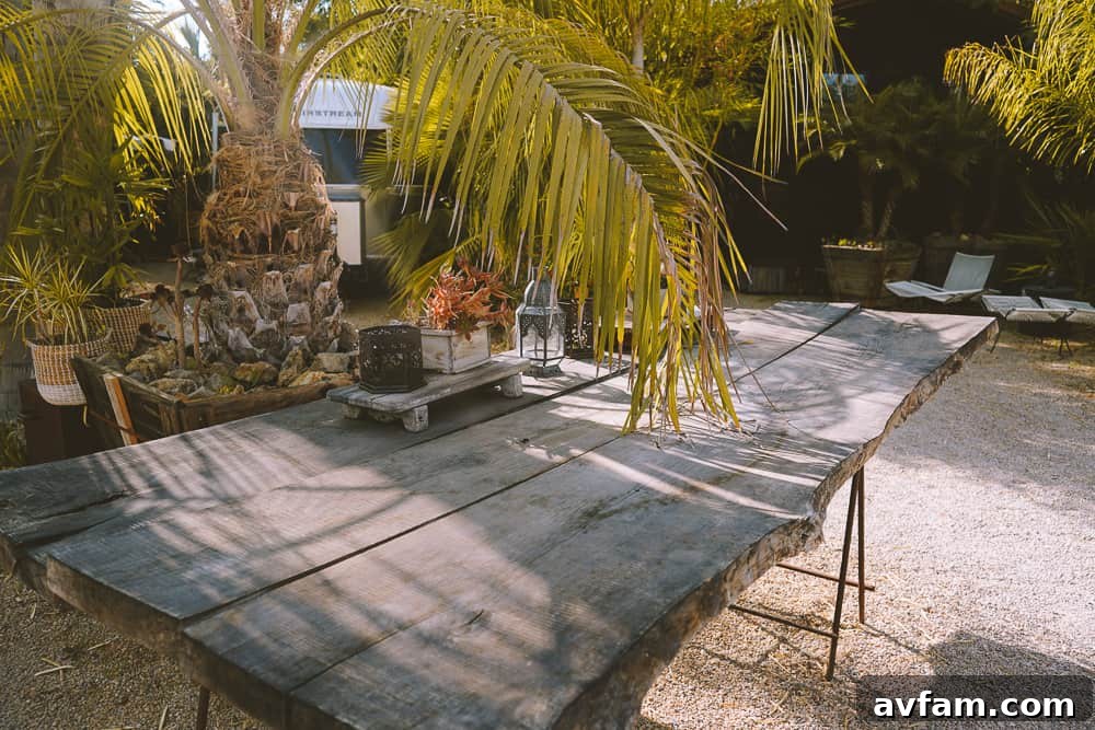 An outdoor gathering space with string lights, creating a magical evening ambiance.