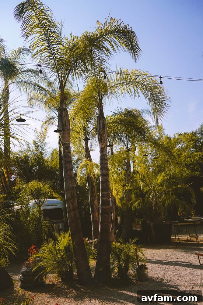 The unique design of one of the Airstreams at Caravan Outpost, seen from the outside.