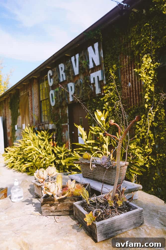 A glimpse of Ojai's natural beauty surrounding Caravan Outpost.