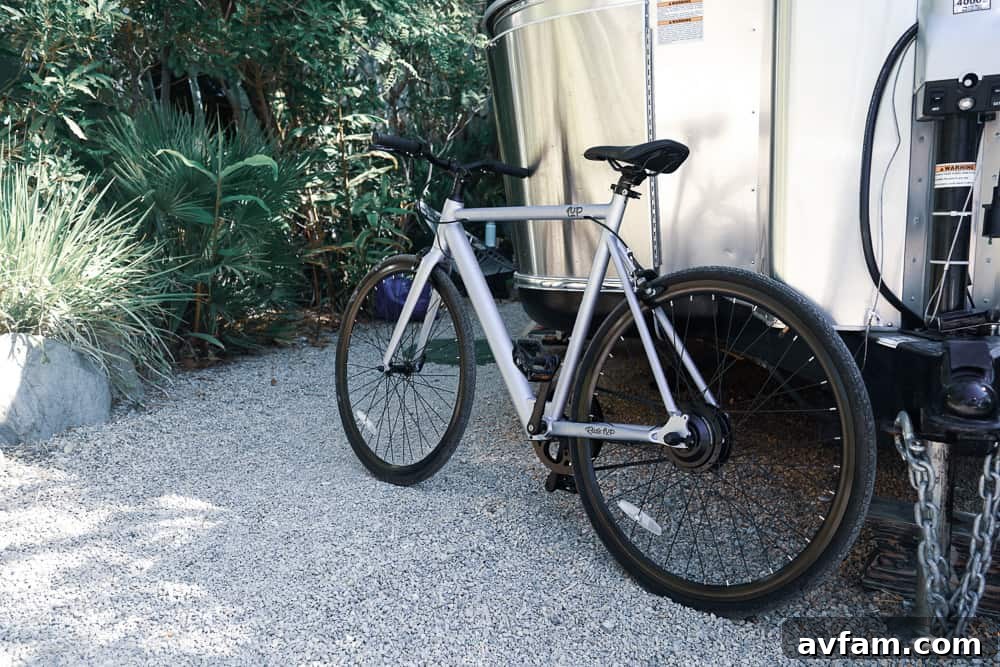 Sleek Ride1Up Roadster V2 electric bike on a sunny street