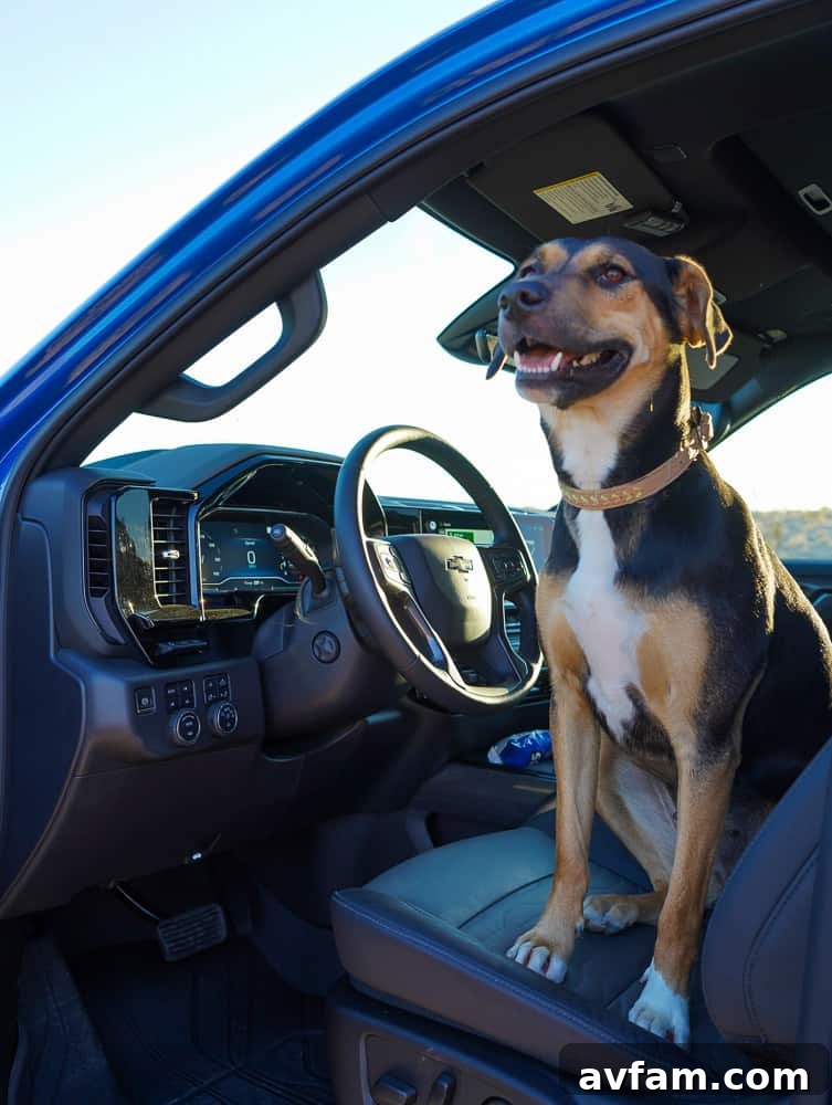Interior view of Silverado ZR2 dashboard and steering wheel