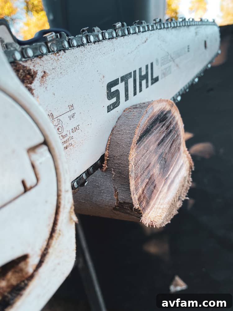 Wood log secured on a workbench for cutting