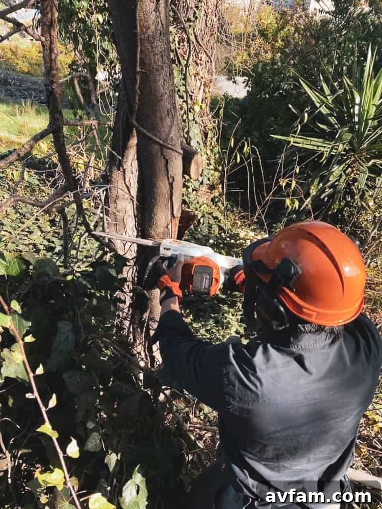 Person using a hacksaw to cut wood