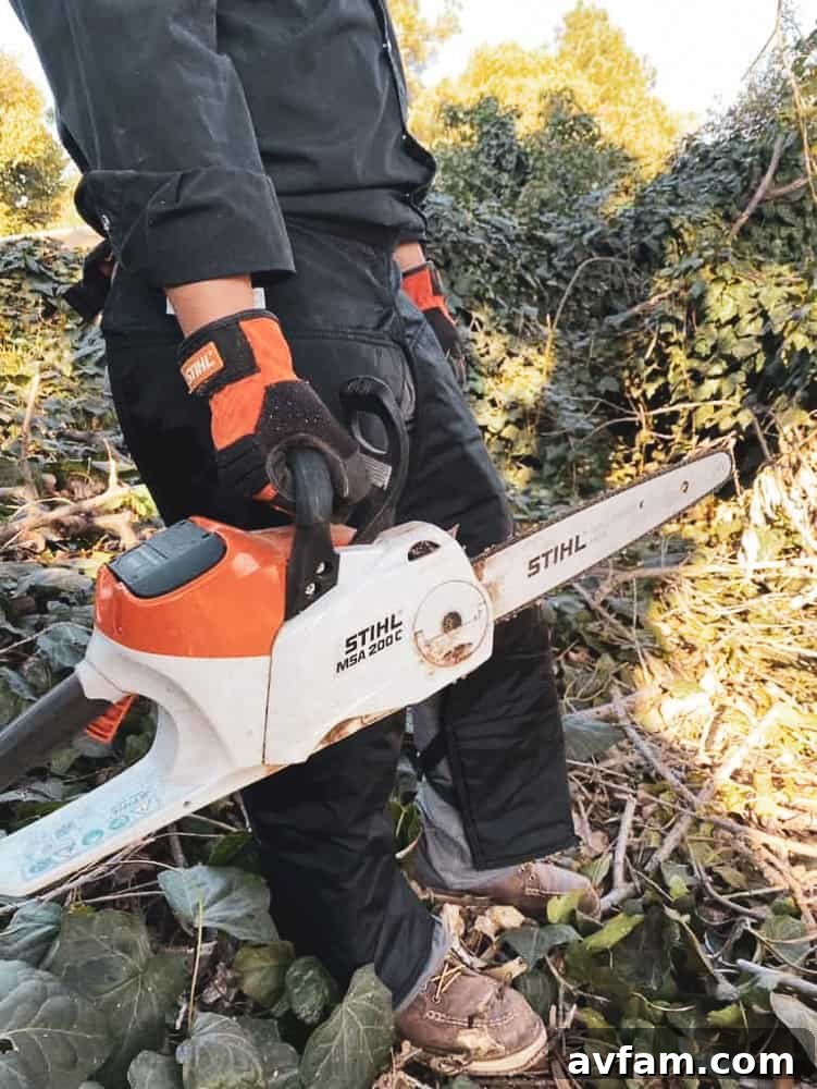 Stihl cordless chainsaw on a log