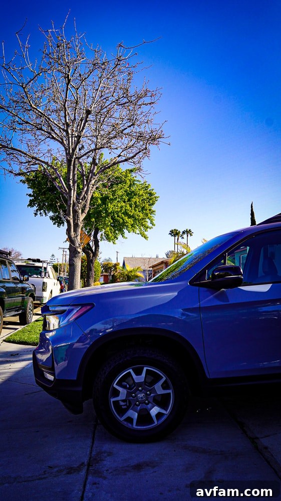 Honda Passport Cargo Space Rear cargo area of the 2022 Honda Passport with seats up, showing ample storage space.