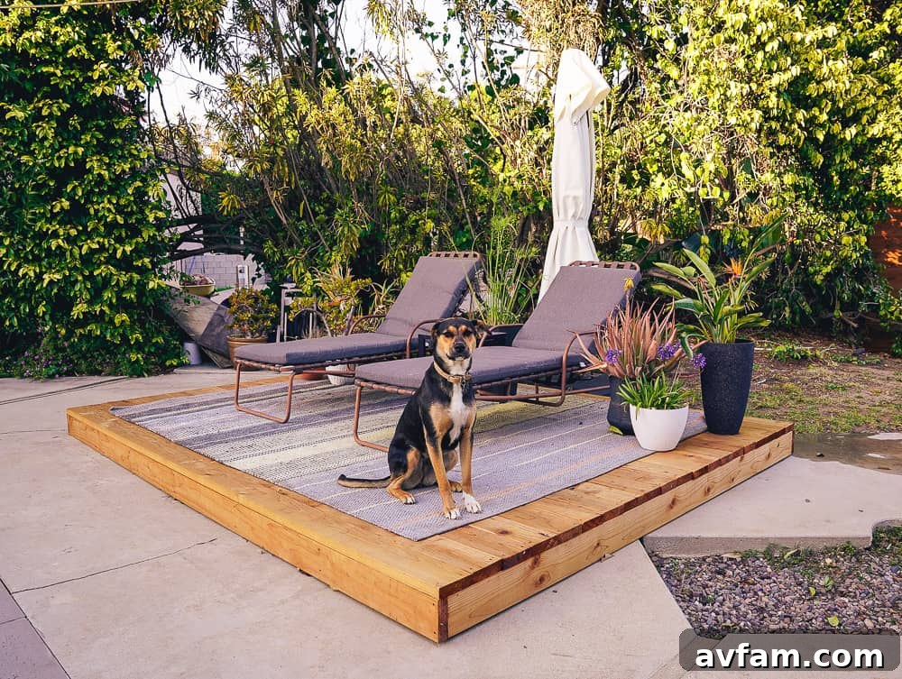Dog relaxing on the redwood deck