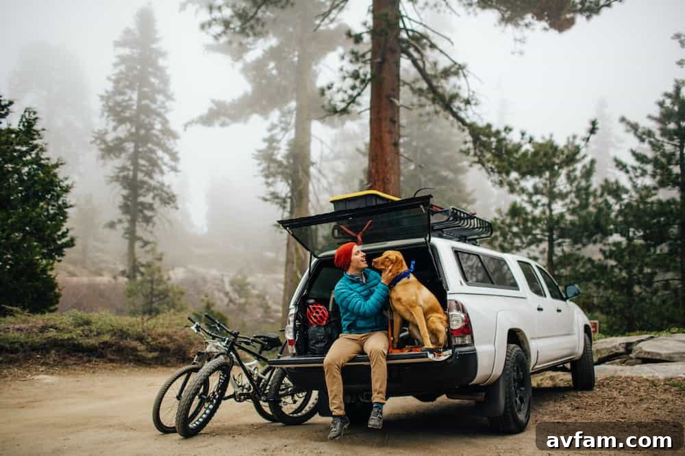 SUV dog travel setup Dog traveling comfortably and safely in the cargo area of an SUV on a road trip.