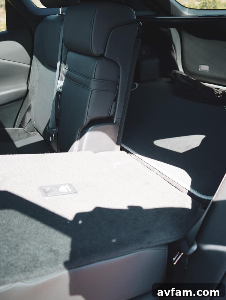 Driver's side door panel and seat of the 2023 Lexus RX 500h F Sport Performance, showing material quality.