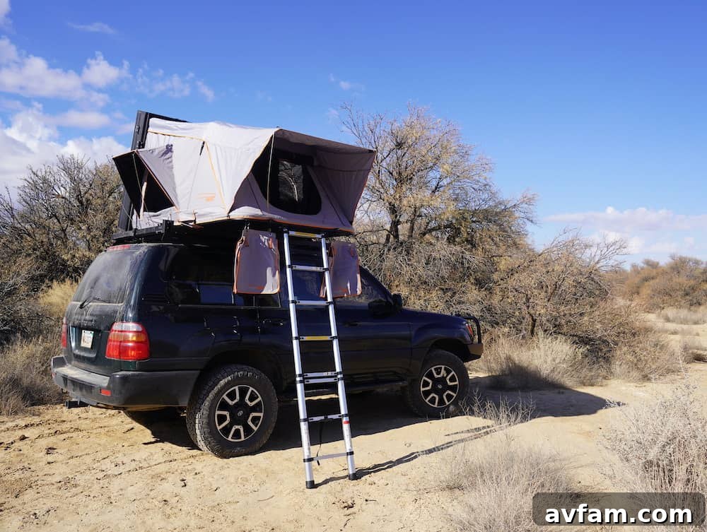 Condor Overland on Vehicle Roofnest Condor Overland on a black vehicle in a natural setting