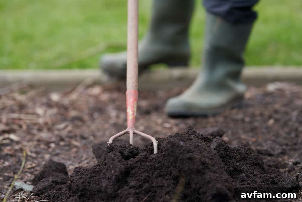 Your Garden's Secret Weapon: Unveiling Mulch's Astonishing Perks 2 benefits of mulch