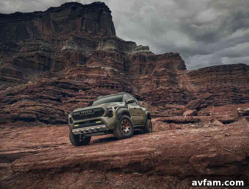 Various 2024 Toyota Tacoma models lined up, showcasing different trims and colors