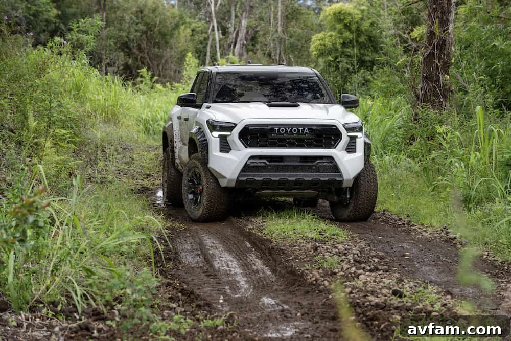 Rear bed view of the 2024 Toyota Tacoma TRD Pro
