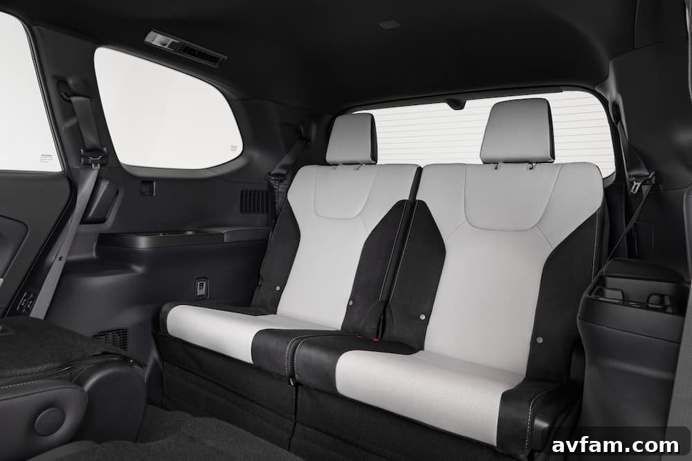 Lexus TX interior showing the steering wheel and digital gauge cluster.