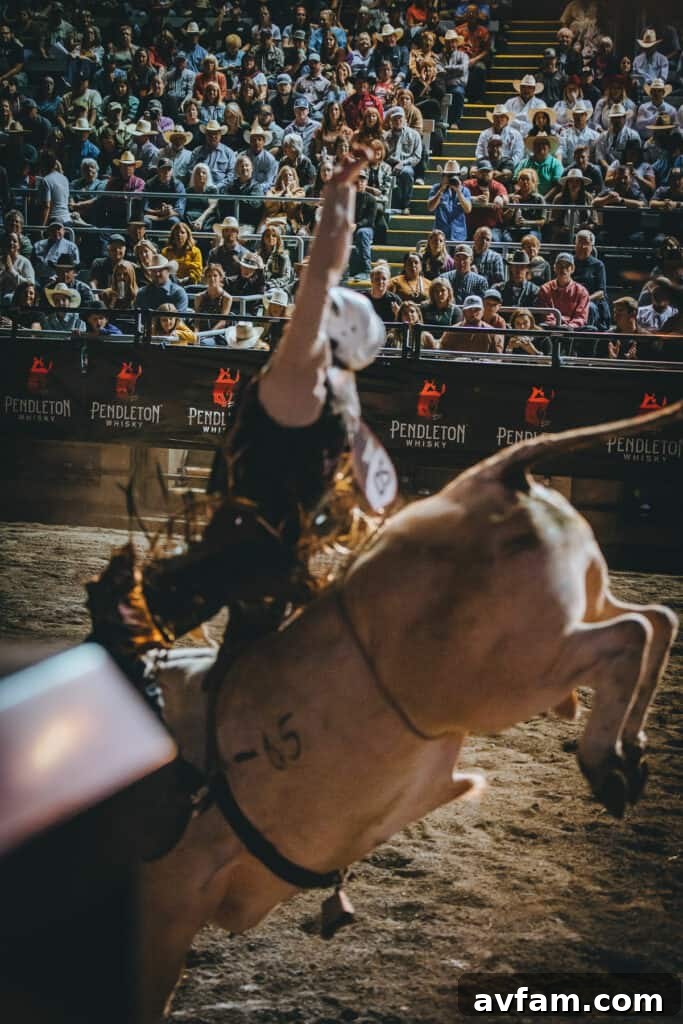 Galloping Duo A vibrant shot of a horse and rider in full gallop during a rodeo event