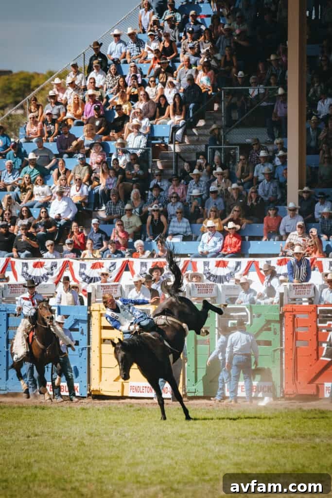 Cowboy at Rest A cowboy on horseback in a relaxed moment, perhaps before or after competition