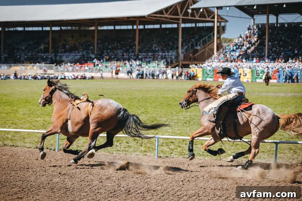 Powerful Movement A dynamic shot of a horse and rider mid-action, demonstrating powerful movement