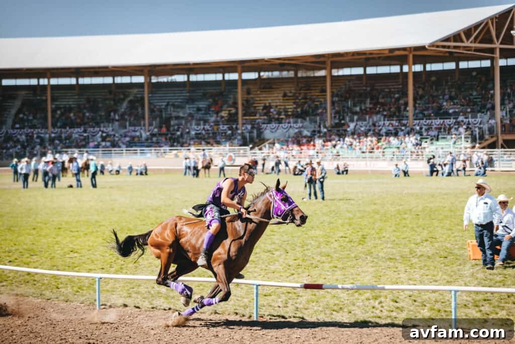 Bronc Riding Intensity Another view of a bronc rider, showcasing the intensity and challenge of the event