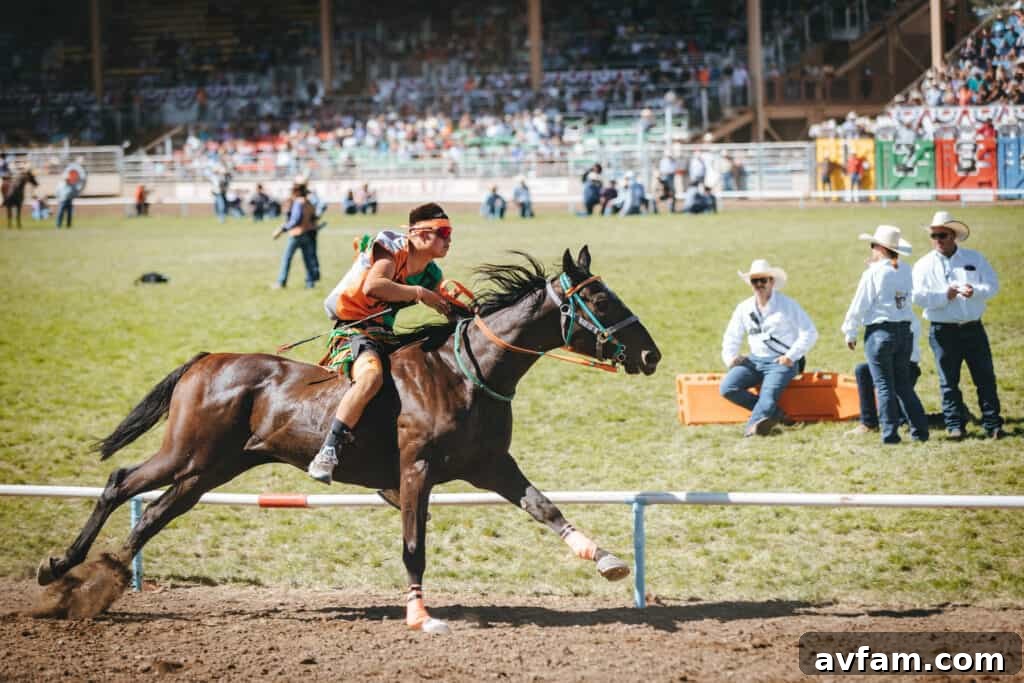 Saddle Bronc Riding A cowboy on a bucking bronc during the saddle bronc riding event at the Pendleton Round-Up