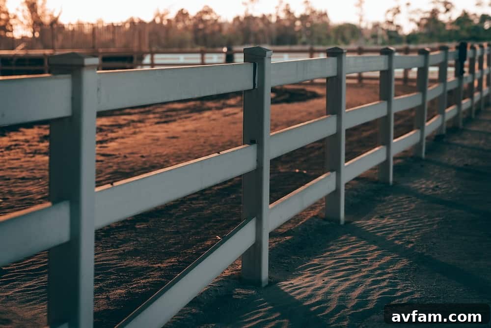 Fence Post Heaving Prevention