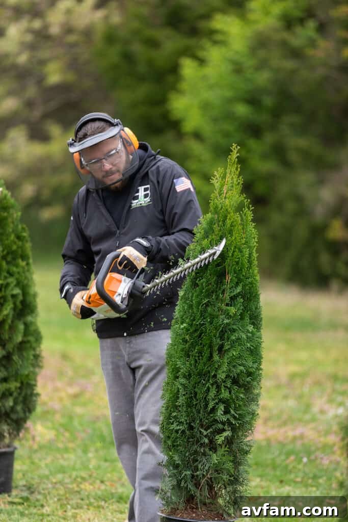 Blake Albertson Demos HSA 60 Influencer Blake Albertson dynamically demonstrating Stihl's battery-operated HSA 60 hedge trimmer, highlighting its power and maneuverability.