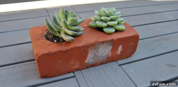 Enjoy your completed DIY brick succulent planters, ready for planting