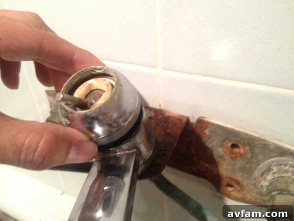 unthread-faucet-cap-assembly