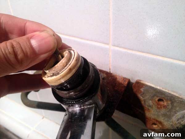 remove-faucet-ball-assembly