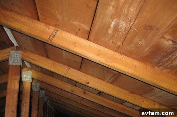 Decoding Your Home's Creaking Sounds 3 creaking roof