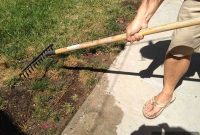 Banish Bare Spots: Achieve a Lush Lawn