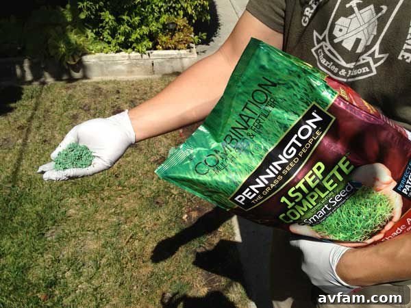 Pennington 1-Step Complete bag for easy lawn repair