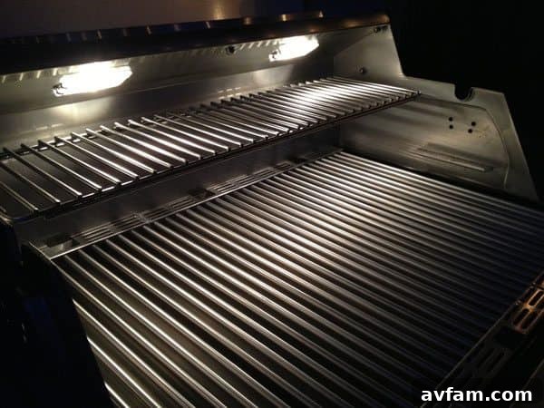 Interior Halogen Lights of the Saber Grill