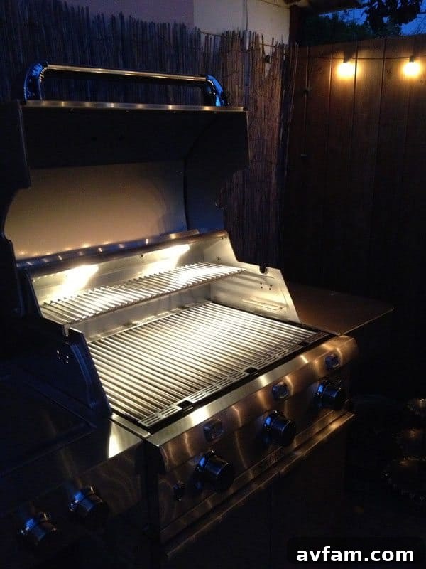 Saber Grill Lighting in Low Light