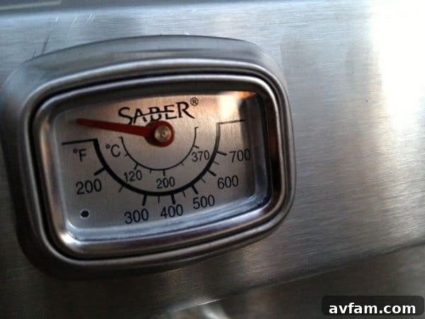 Grill Temperature Gauge for Accurate Cooking