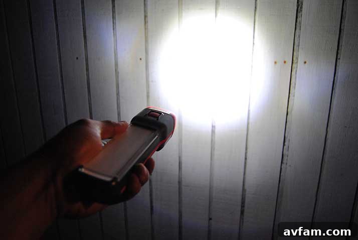 Light Redefined: Portability Perfected 4 energizer-3-1