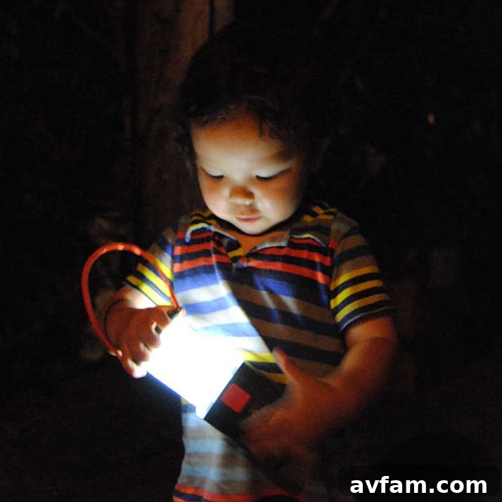 Light Redefined: Portability Perfected 7 energizer-lantern-open